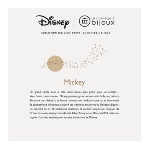 Catalogue Le Manège A Bijoux Collection Exclusive Disney 2019 page 2