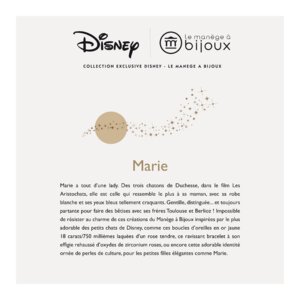 Catalogue Le Manège A Bijoux Collection Exclusive Disney 2019 page 26