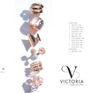Catalogue Victoria France 2018 page 60